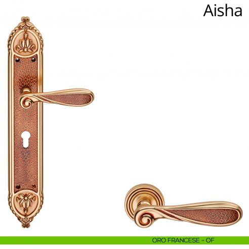 Maniglia con placca Big per porta Aisha Linea Calì - oro francese - foro yale