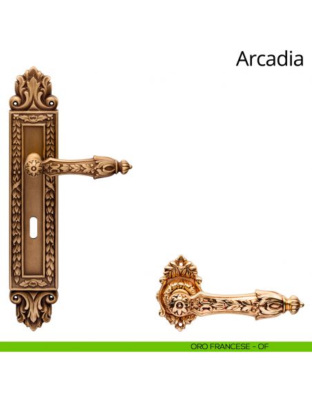 Maniglia con placca Big per porta Arcadia Linea Calì - oro francese - foro patent