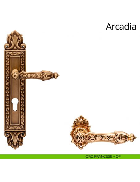 Maniglia con placca Big per porta Arcadia Linea Calì - oro francese - foro yale