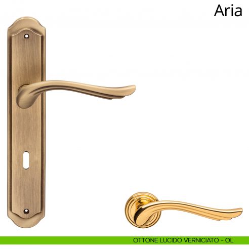 Maniglia con placca per porta Aria Linea Calì - ottone lucido verniciato - foro patent