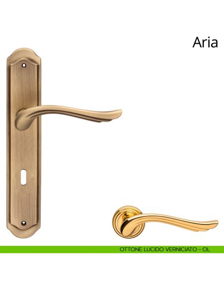 Maniglia con placca per porta Aria Linea Calì - ottone lucido verniciato - foro patent