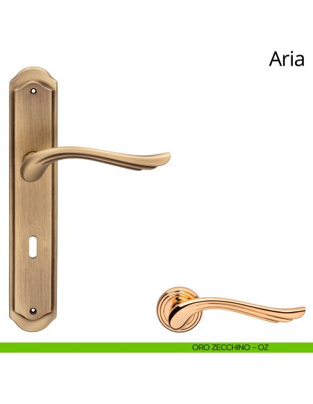 Maniglia con placca per porta Aria Linea Calì - oro zecchino - foro patent