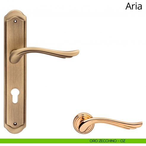 Maniglia con placca per porta Aria Linea Calì - oro zecchino - foro yale