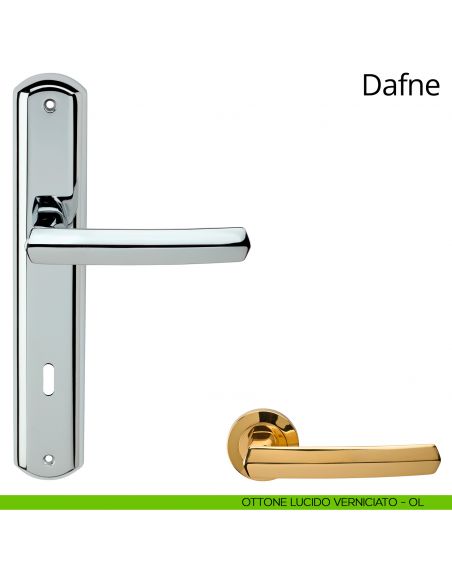 Maniglia con placca per porta Dafne Linea Calì - ottone lucido verniciato - foro patent