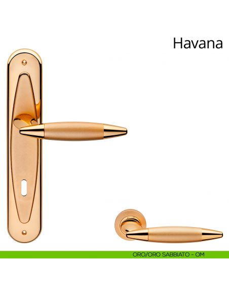 Maniglia con placca per porta Havana Linea Calì - oro sabbiato + oro - foro patent