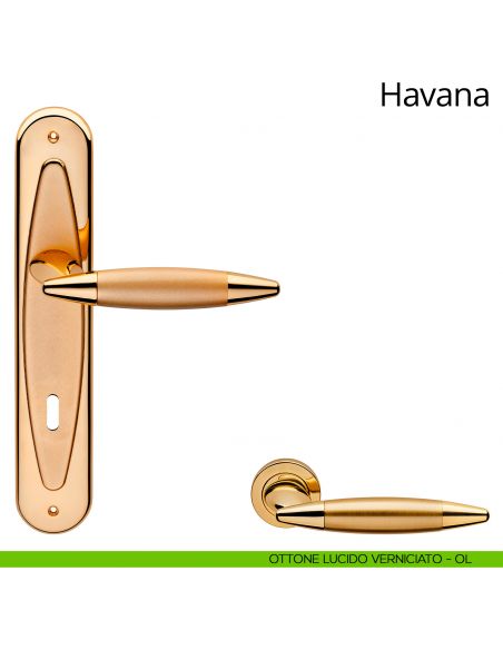Maniglia con placca per porta Havana Linea Calì - ottone lucido verniciato - foro patent