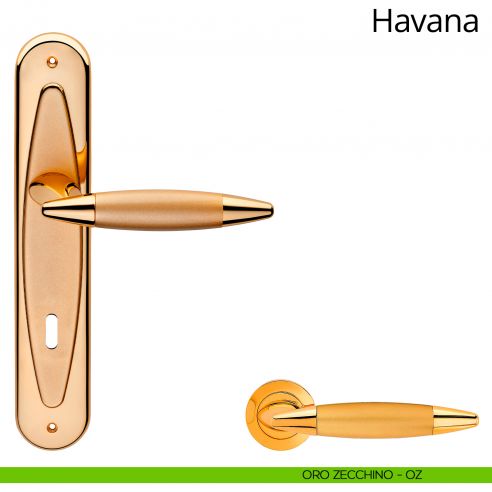 Maniglia con placca per porta Havana Linea Calì - oro zecchino - foro patent