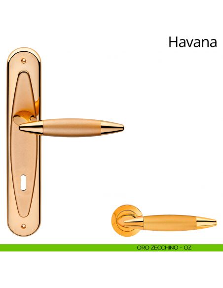 Maniglia con placca per porta Havana Linea Calì - oro zecchino - foro patent
