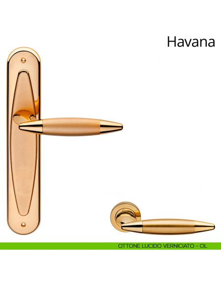 Maniglia con placca per porta Havana Linea Calì - ottone lucido verniciato - placca cieca