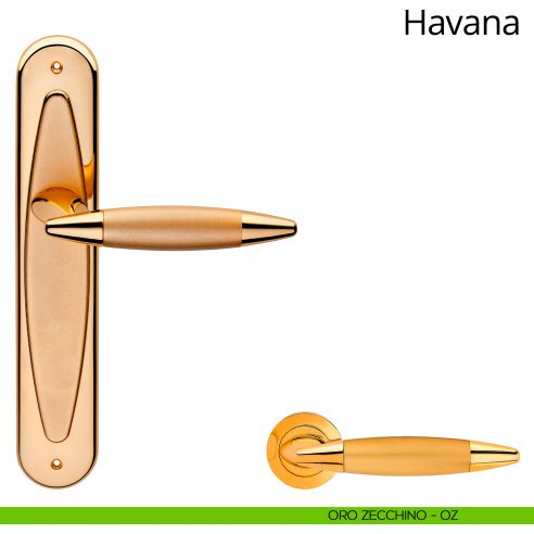 Maniglia con placca per porta Havana Linea Calì - oro zecchino - placca cieca