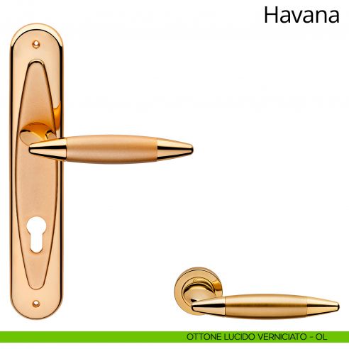 Maniglia con placca per porta Havana Linea Calì - ottone lucido verniciato - foro yale