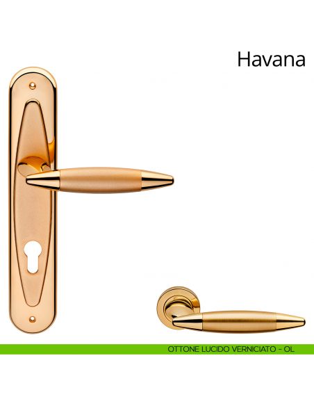 Maniglia con placca per porta Havana Linea Calì - ottone lucido verniciato - foro yale