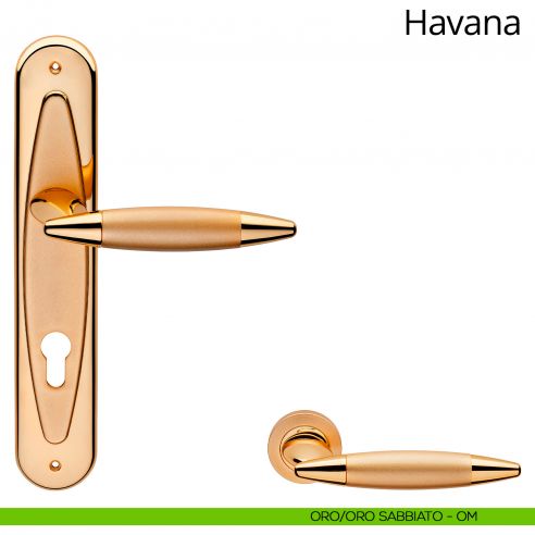 Maniglia con placca per porta Havana Linea Calì - oro sabbiato + oro - foro yale
