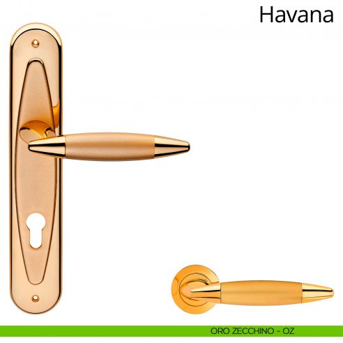 Maniglia con placca per porta Havana Linea Calì - oro zecchino - foro yale
