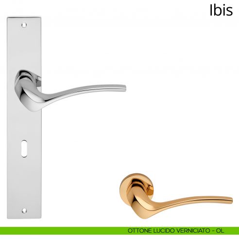 Maniglia con placca per porta Ibis Linea Calì - ottone lucido verniciato - foro patent