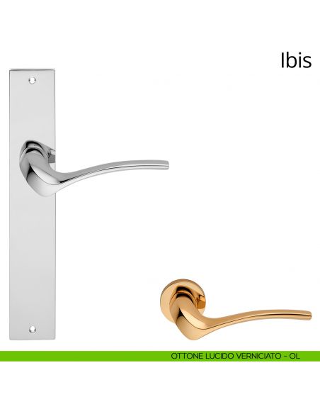 Maniglia con placca per porta Ibis Linea Calì - ottone lucido verniciato - placca cieca