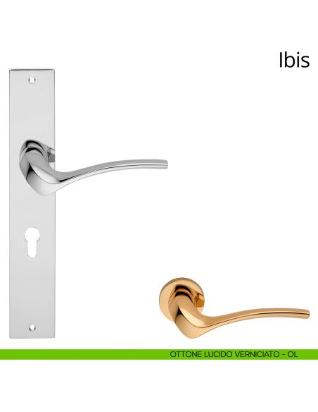 Maniglia con placca per porta Ibis Linea Calì - ottone lucido verniciato - foro yale
