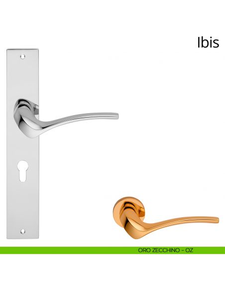 Maniglia con placca per porta Ibis Linea Calì - oro zecchino - foro yale