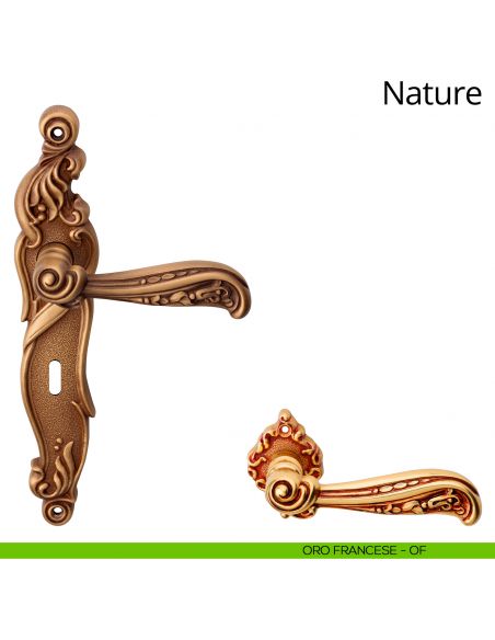 Maniglia con placca per porta Nature Linea Calì - oro francese - foro patent