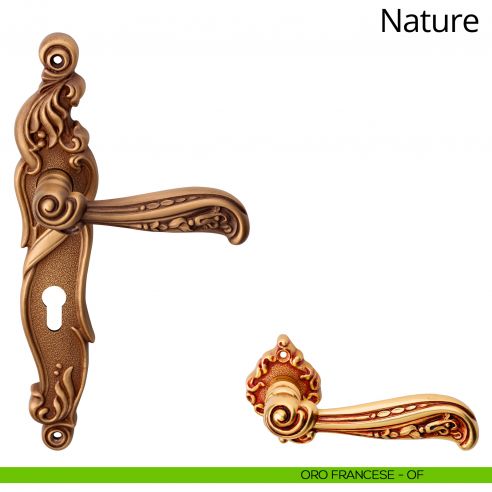 Maniglia con placca per porta Nature Linea Calì - oro francese - foro yale