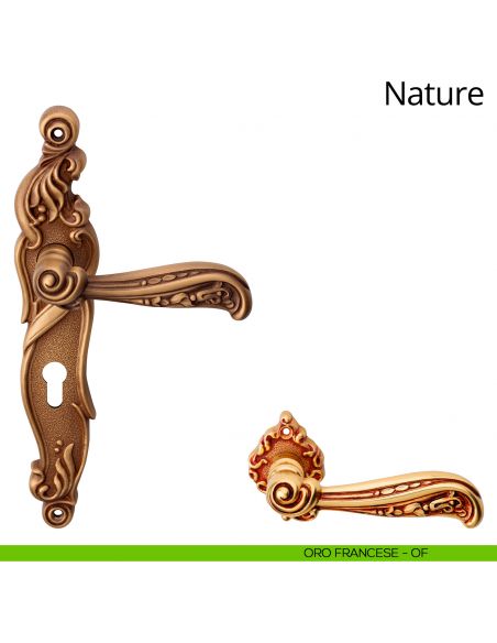 Maniglia con placca per porta Nature Linea Calì - oro francese - foro yale