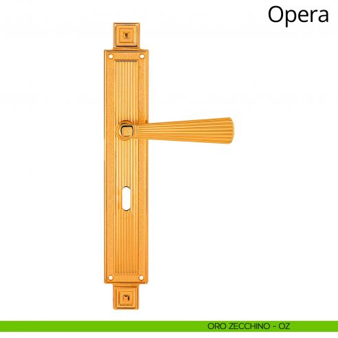 Maniglia con placca per porta Opera Linea Calì - oro zecchino - foro patent