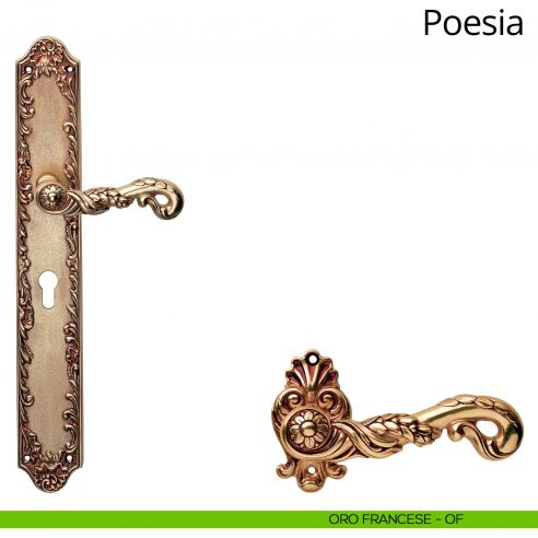 Maniglia con placca Big per porta Poesia Linea Calì - oro francese - foro yale