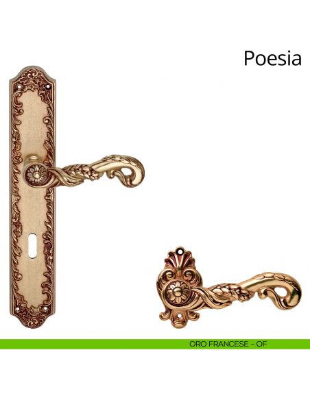 Maniglia con placca small per porta Poesia Linea Calì - oro francese - foro patent