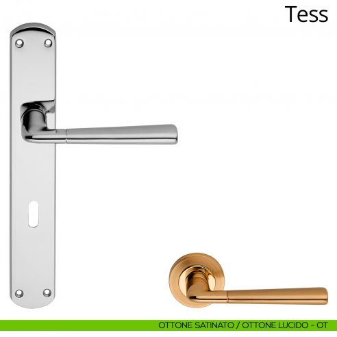 Maniglia con placca per porta Tess Linea Calì - ottone satinato + ottone lucido - foro patent