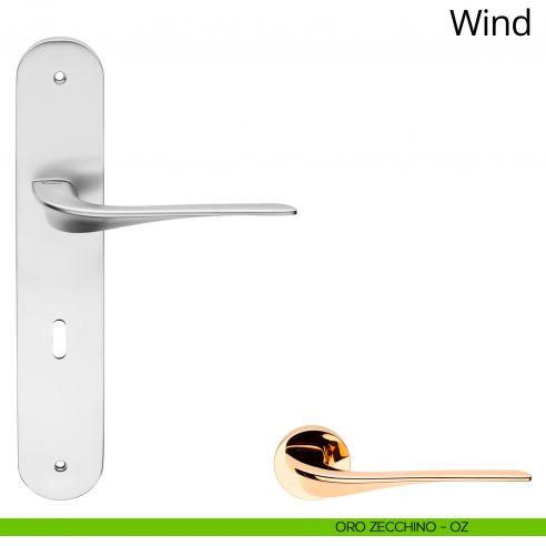 Maniglia con placca per porta Wind Linea Calì - oro zecchino - foro patent