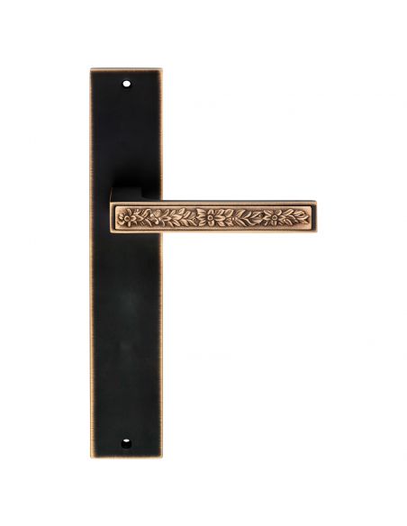 Maniglia con placca per porta Zen Fusion Linea Calì