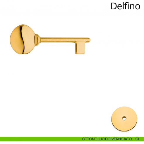 Chiave per porta interna Delfino Linea Calì ottone lucido verniciato