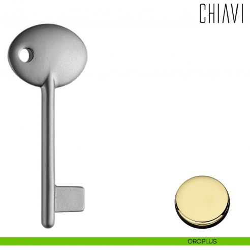 Chiave per porta interna AM14 Colombo Design oroplus