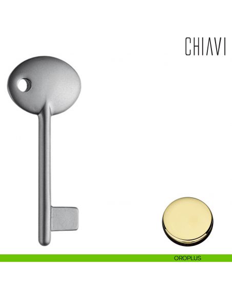 Chiave per porta interna AM14 Colombo Design oroplus