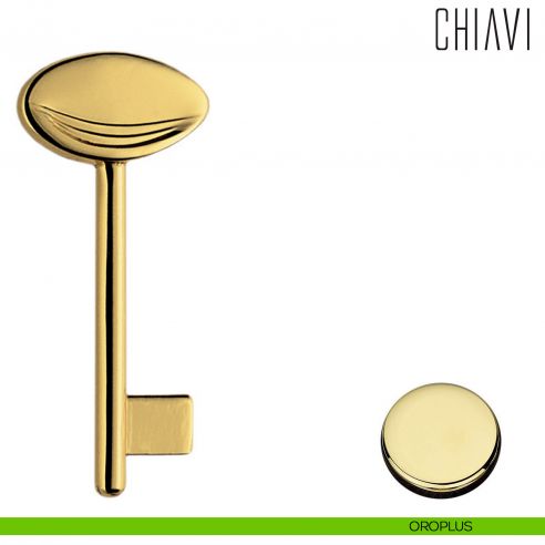 Chiave per porta interna AR14 Colombo Design oroplus