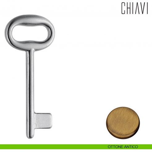 Chiave per porta interna CD14 Colombo Design ottone antico