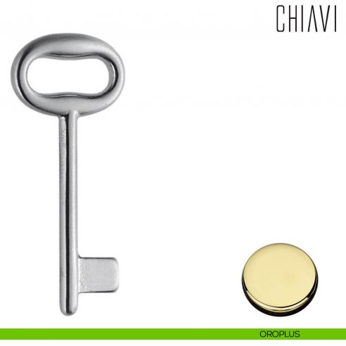 Chiave per porta interna CD14 Colombo Design oroplus