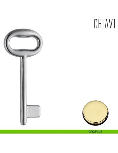 Chiave per porta interna CD14 Colombo Design oroplus