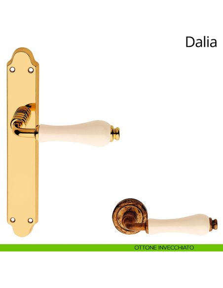 Maniglia con placca per porta porcellana avorio Dalia Linea Calì ottone invecchiato cieca