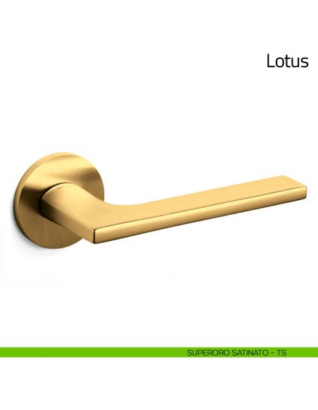 Maniglia per porta Lotus Olivari bassa superoro satinato