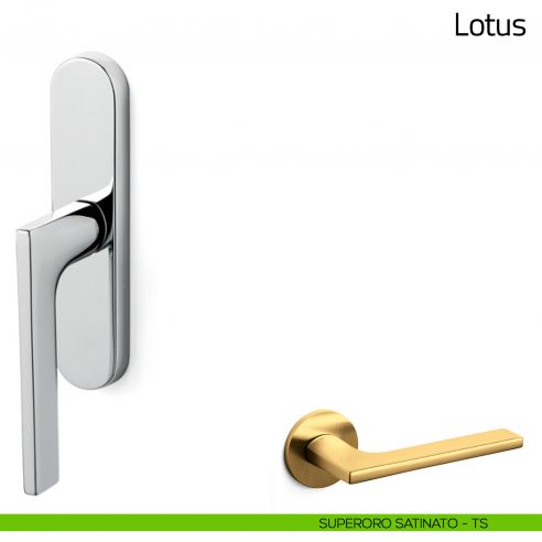Maniglia per finestra cremonese Lotus Olivari superoro satinato