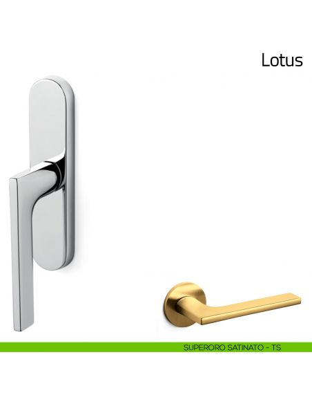 Maniglia per finestra cremonese Lotus Olivari superoro satinato