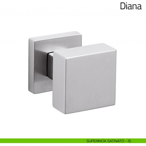 Pomello per porta in vetro Diana Olivari superinox satinato