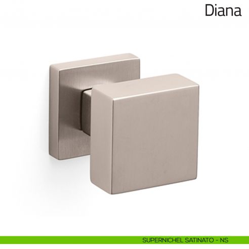 Pomello per porta in vetro Diana Olivari supernichel satinato