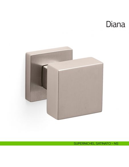 Pomello per porta in vetro Diana Olivari supernichel satinato