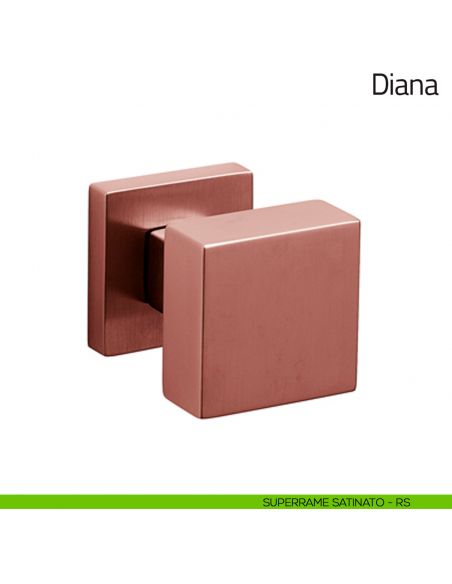 Pomello per porta in vetro Diana Olivari superrame satinato