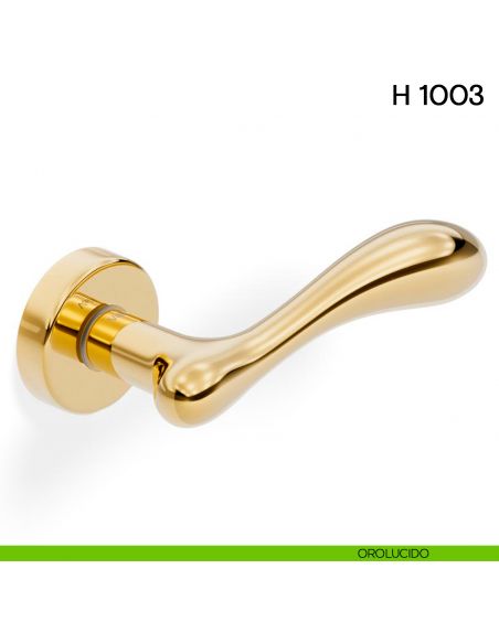 Maniglia per porta H 1003 Valli collezione Fusital con rosetta fine orolucido