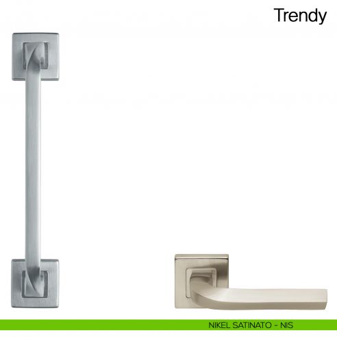 Maniglione per porta Trendy Manital con rosette - nikel satinato