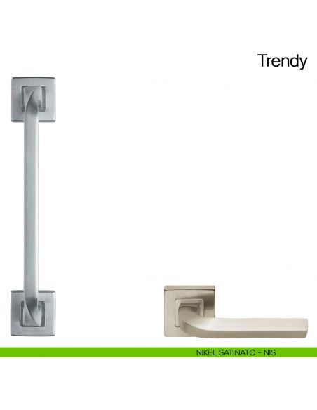 Maniglione per porta Trendy Manital con rosette - nikel satinato