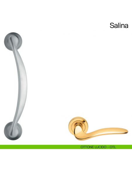 Maniglione per porta Salina Manital con rosette ottone lucido